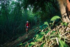 BIB: 
                            <button type="button" onclick="openModal(28123507)" class="btn btn-primary btn-sm float-right btn-popup" data-toggle="modal" data-target=".modal-high-quality">
                        <i class="fas fa-shopping-cart"></i> Add to Cart
                    </button>
                                            <button type="button" onclick="isThisMe(28123507, true)" class="btn btn-success btn-sm float-right btn-popup btn-isme hidden" data-toggle="tooltip" data-placement="bottom" title="นี่คือรูปของคุณใช่ไหม คลิกที่นี่เพื่อเอาเข้าอัลบั้ม">
                        <i class="fas fa-plus"></i> Add to album
                    </button>
                    <button type="button" onclick="isThisMe(28123507, false)" class="btn btn-warning btn-sm float-right btn-popup btn-isnotme hidden">
                        <i class="fas fa-ban"></i> Remove from album
                    </button>